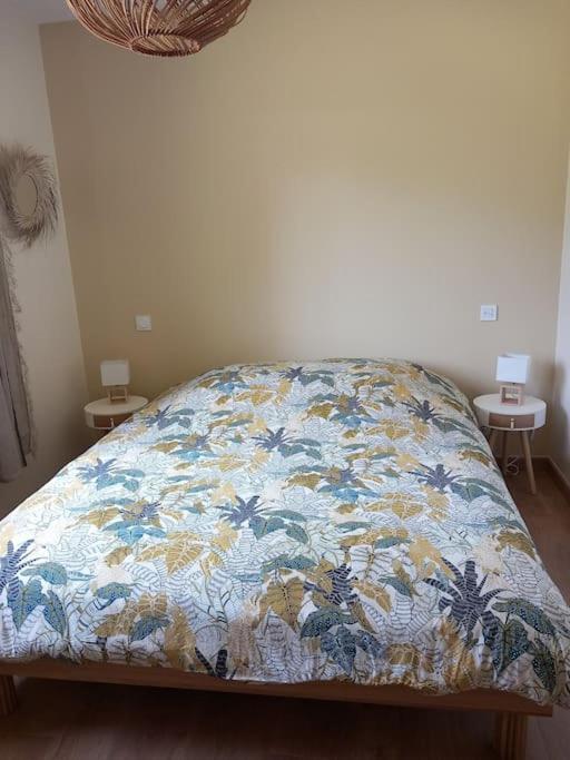 סן-ז'וליין-אן-בורן Maison Neuve Avec Piscine Chauffee, 4 Kms De Contis Plage מראה חיצוני תמונה